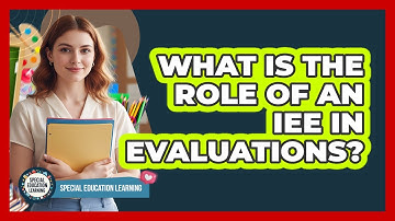 What Is the Role of an IEE in Evaluations?