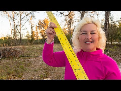 Video: ¿Cuánto cuesta inspeccionar 2 acres?