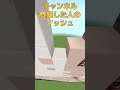〇〇した人のマッシュ【マイクラ】【マッシュル】【Bring-bang-bang-born】【ツール】【アスト】【あすと】