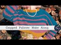 Crochet How to: Cropped Autumn Pullover | Make-a-Long | Last Minute Laura