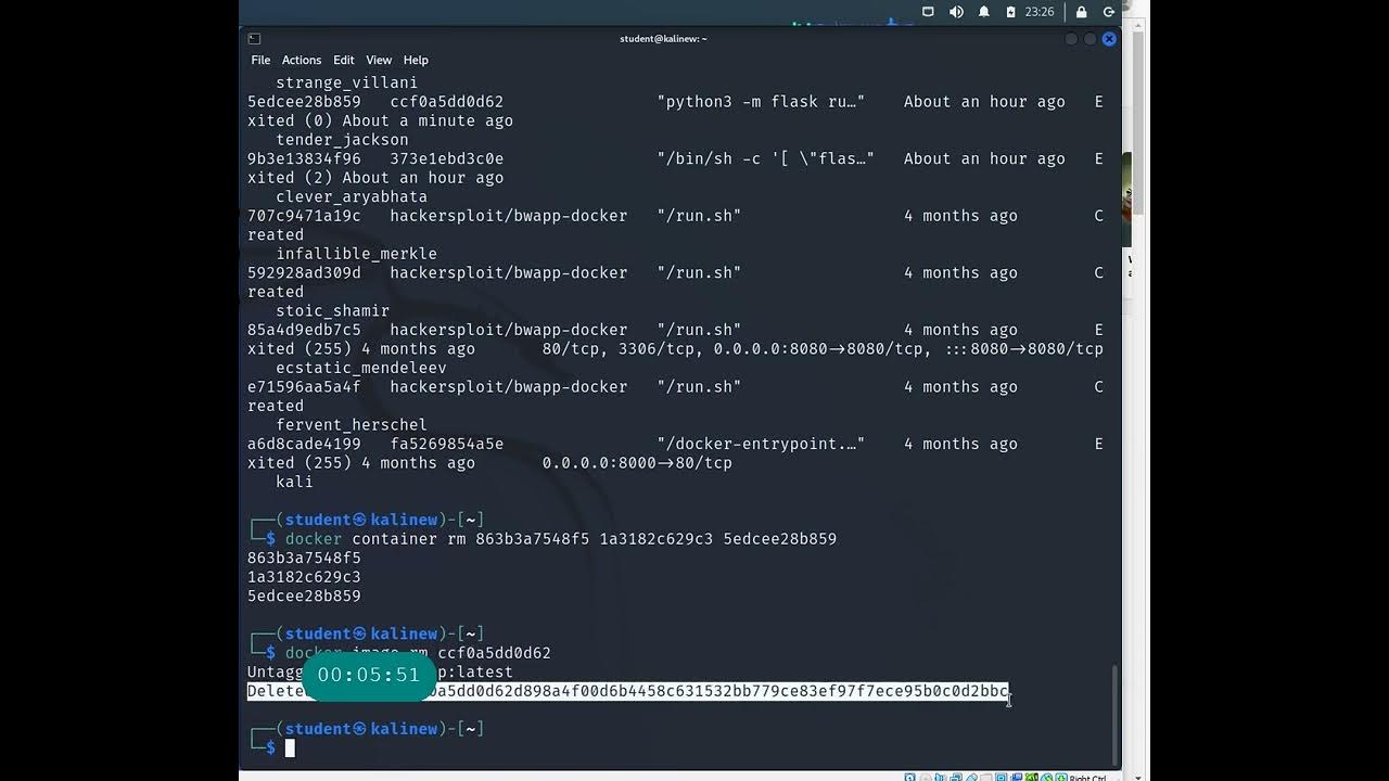 Docker run rm. Docker run rm