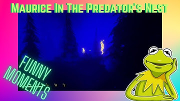 Maurice: In The Predator