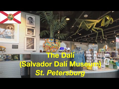 Video: Salvador Dali-museum met kinders in St. Petersburg, FL