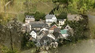 Wandern Auf Dem Dhrontalweg An Der Mosel In Neumagen-Dhron