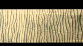 Dynamics of Wave-Generated Sand Ripples