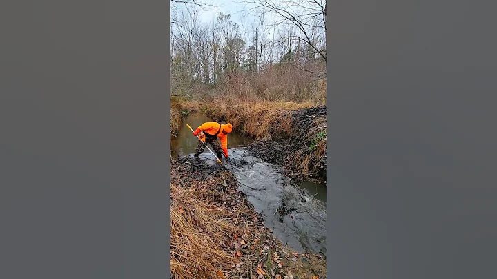 BEAVER DAM REMOVAL IN ONE MINUTE!