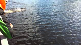 видео Озеро Водлозеро