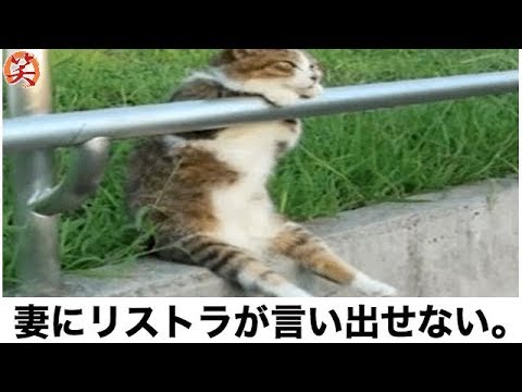 ボケて 最新殿堂入りおもしろ画像集 傑作ボケまとめ Part102 爆笑屋 Youtube