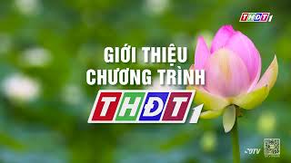Thđt1 Luồng Sdtv Đài Hiệu, Giới Thiệu Chương Trình 05H30 23102025
