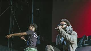 Psilocybae millennial Love 21 Savage Verse 10 Minute Loop