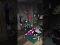 tengah malam jum'at kliwon saat tidur nyenyak di dapur kampung