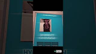 Разыскивают кота в роблоксе 😂 Ахахаха #shorts #роблокс #видео #игры #roblox