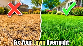 Why Your Grass Seed FAILED (And How To Fix It Fast!)