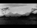 YL FILM SEMI