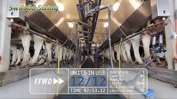 What makes Swing Over milking parlors so efficient?