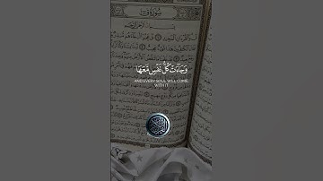 القارئ محمد الوكيل قرآن كريم تلاوات قرانيه خاشعة #اكسبلور
