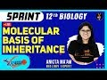 Molecular Basis of Inheritance | NCERT Biology 12th Board | Full Chapter Revision | Ankita ma'am