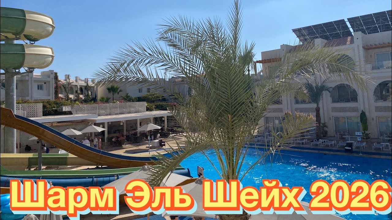 ЕГИПЕТ 2026. Летим из СОЧИ  в ШАРМ ЭЛЬ ШЕЙХ. SUNRISE MONTEMARE GRAND SELECT. 