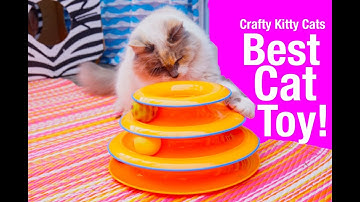 This Cat Toy Rocks!! Petstages Tower of Tracks Cat Toy