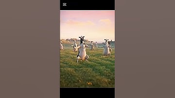 Its the first of the month 🔥 #trending #edit #shortvideo #viralvideo #video #shorts