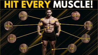 THIS IS the #1 Exercise for Every Muscle Group (No BS Guide)