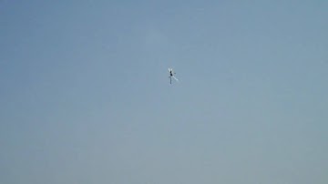 TREX 600 NSP - Backwards-inverted