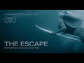 The Escape: Featuring Alana Blanchard