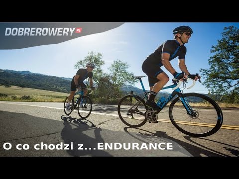 Poradnik - czym są rowery szosowe Endurance?