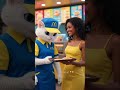 Macdonals crew cat #cat #shorts #shortsvideo #shortvideo #short #viral #viralcats #viralshorts #cat