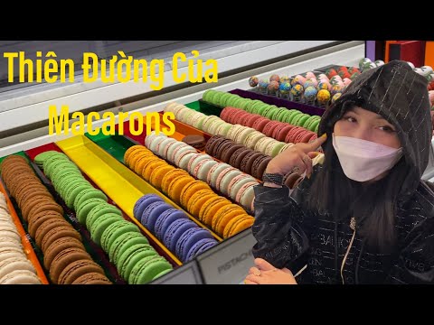 Video: Giá bánh macaron ở Disneyland là bao nhiêu?