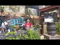 Cooking with Darina Allen and Rachel Allen at the Ballymaloe May Fair