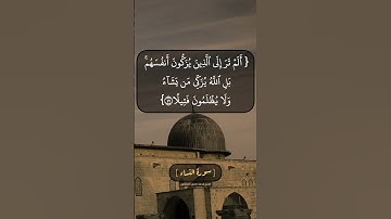سورة النساء الآية ٤٨ الى ٥٠ بصوت الشيخ محمد صديق المنشاوي