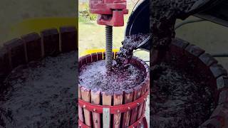 8000 Year Old Wine Making Technique 🍷