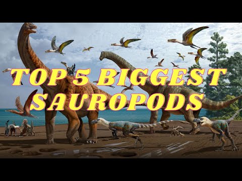 TOP 5 BIGGEST SAUROPOD DINOSAURS
