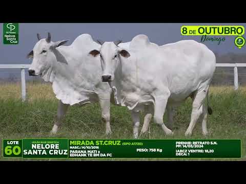 LOTE 60   GPO A1720 E 3168