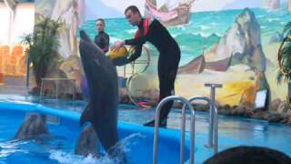 delfinarium