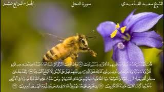 الـشيـخ سـعـد الـغـامـدي سـورة الـنحـل HD