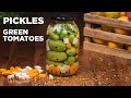 Pickled green tomatoes recipe. Crunchy. Punchy. Healthy.