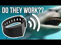 Sharkbanz Test