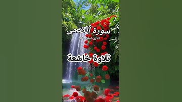 سورة الضحى بصوت القارىء احمد مرخان