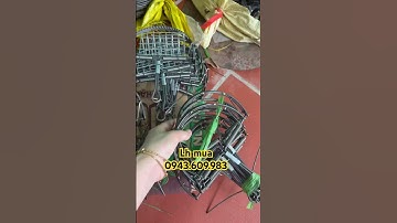 Kẹp bán Nguyệt bẫy chim chuột cò vạc siêu hiệu quả