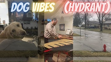 Relaxing Music: Soft Evolving Groove on Vibraphone | "Evolving Groove" with snowfall and dog pics