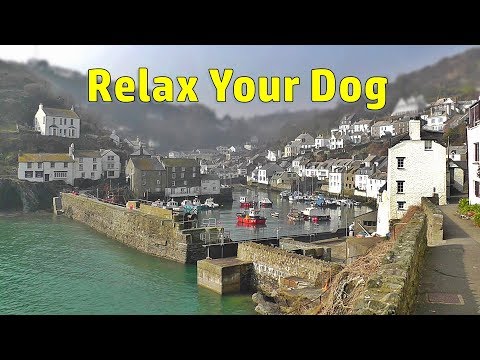 Relax Your Dog TV : TV for Dogs - Beautiful Seaside Sounds and Scenes