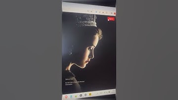 New NETFLIX API - Proxyless - 3K CPM - Full Capture Config!