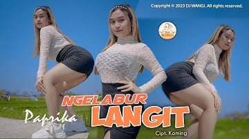 Dj Ngelabur Langit - Paprica (Official Music Video)