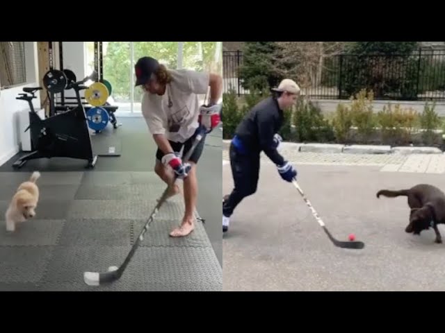 Hockey Player Walks in With Cat on 'Canine Night' and the Reason