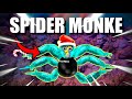 How to become spider monke in gorilla tag vr new mechanic