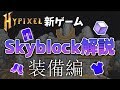 【Skyblock】Hypixel新ゲームの序盤の動きを分かりやすく解説 part1「装備編」