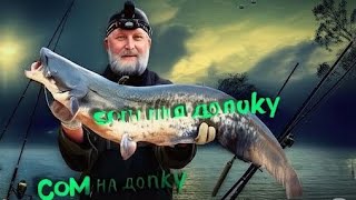 картинка: Секрети Нічної Риболовлі на Сома з Берега: Тепер Ти Зловиш