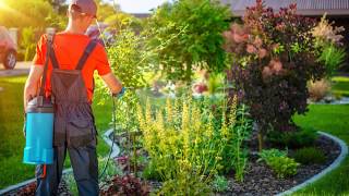 Best Houston Pest Control 832 772 6100 Termite Treatments
